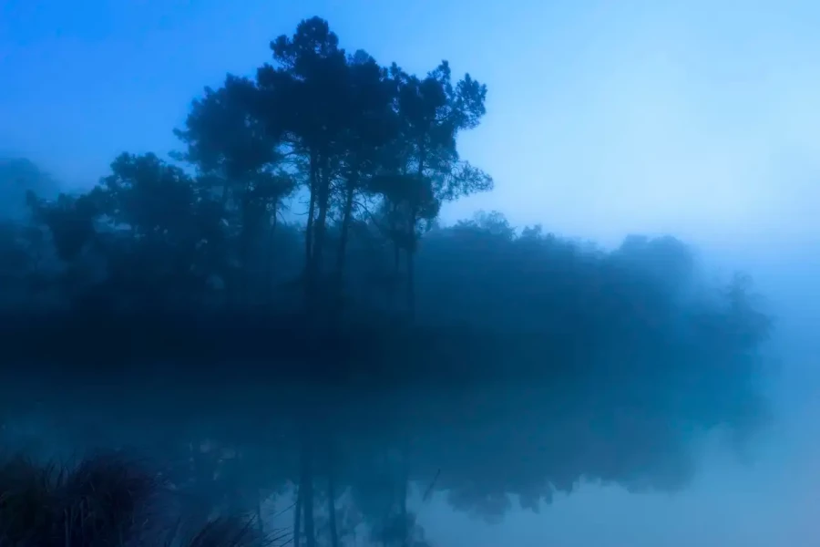 Paysage de la Haute-Saintonge en Charente-Maritime, France en couleur