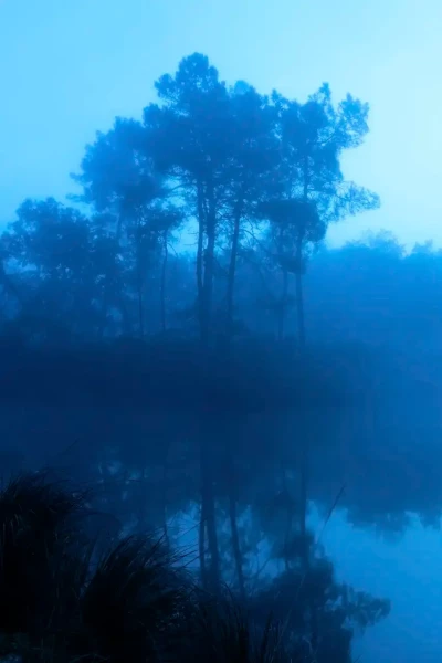 Paysage de la Haute-Saintonge en Charente-Maritime, France en couleur