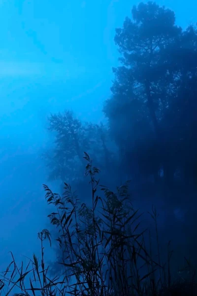 Paysage de la Haute-Saintonge en Charente-Maritime, France en couleur