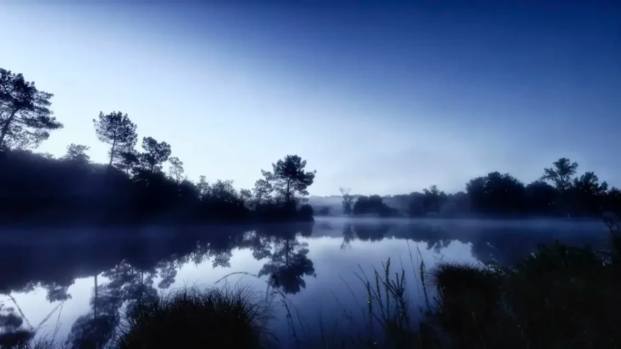 Paysage de la Haute-Saintonge en Charente-Maritime, France en couleur
