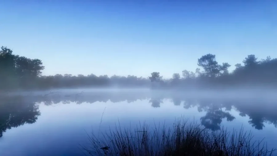 Paysage de la Haute-Saintonge en Charente-Maritime, France en couleur
