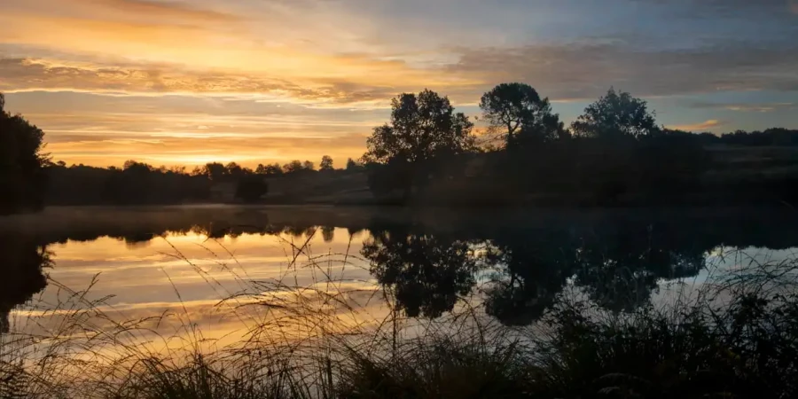 Paysage de la Haute-Saintonge en Charente-Maritime, France en couleur