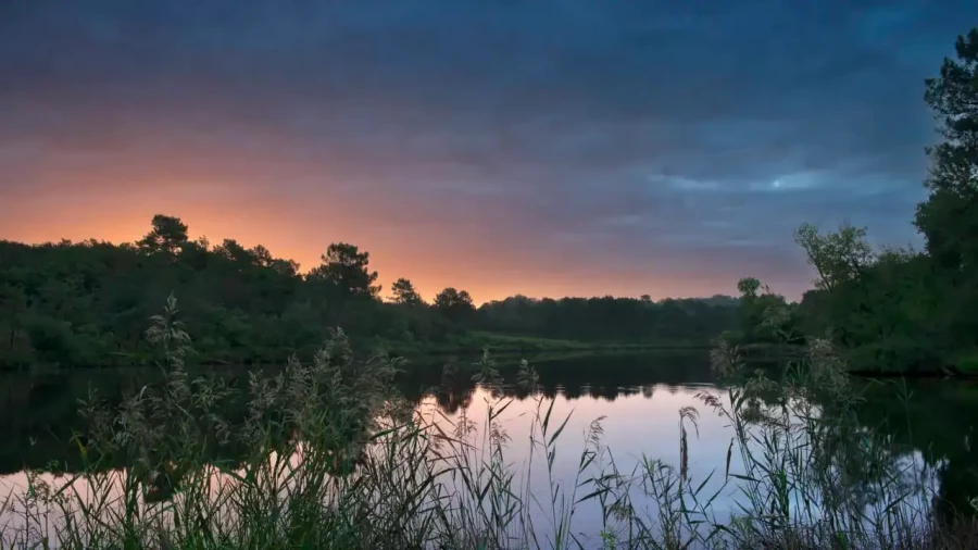 Paysage de la Haute-Saintonge en Charente-Maritime, France en couleur