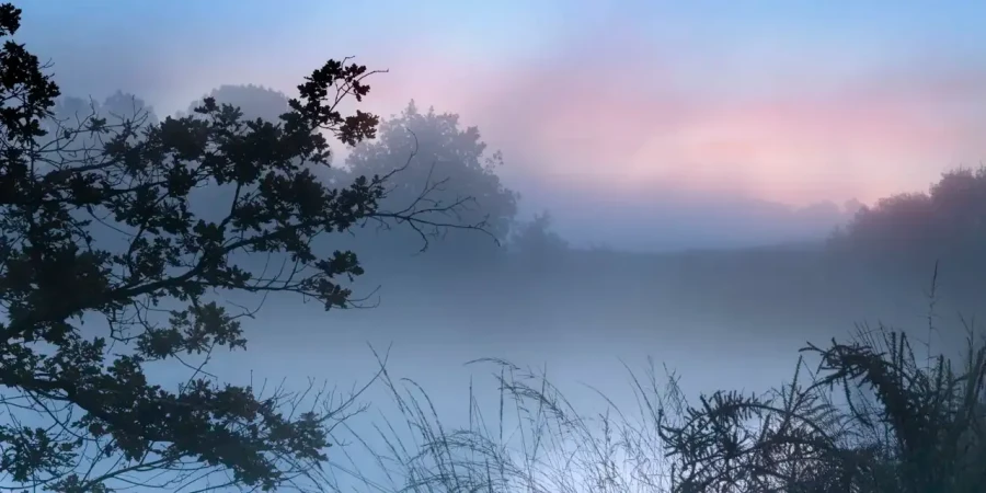Paysage de la Haute-Saintonge en Charente-Maritime, France en couleur