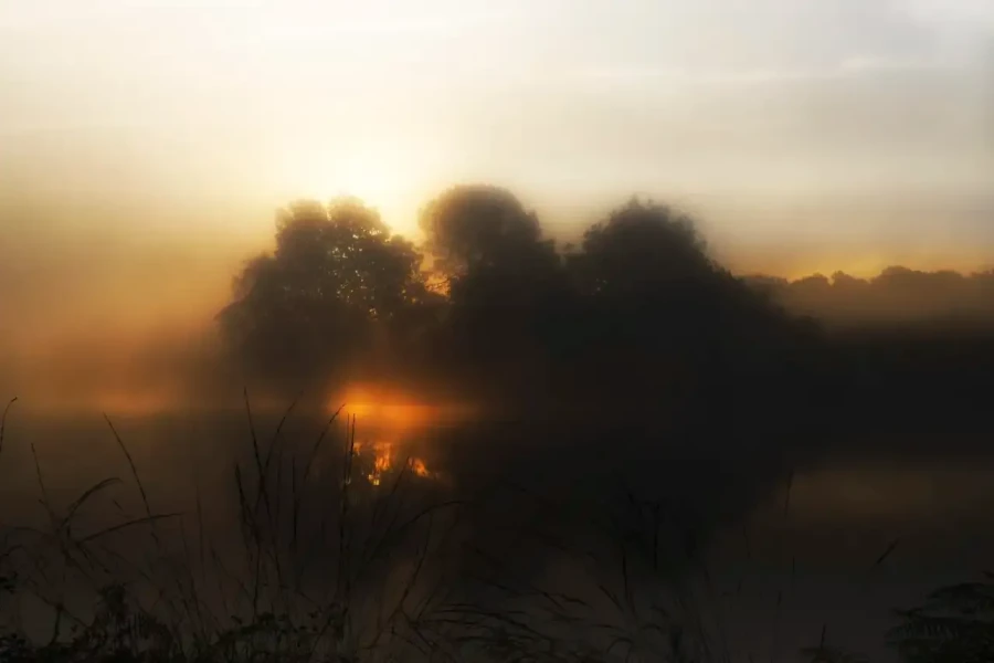 Paysage de la Haute-Saintonge en Charente-Maritime, France en couleur