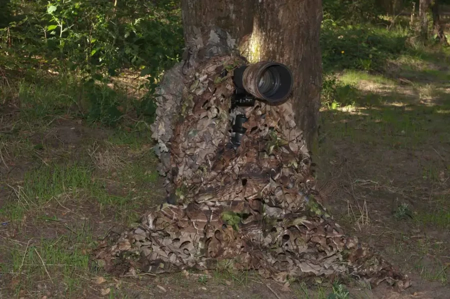 02 stage photo animaliere brame du cerf en france amar guillen photographe