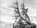 stage photo paysages utah etats unis 19 novembre 2022