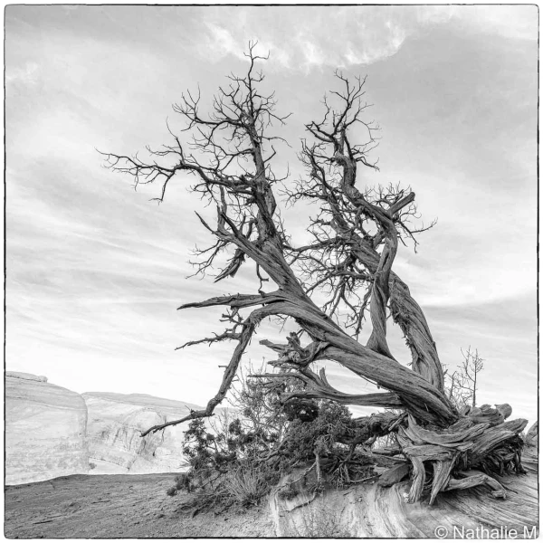 stage photo paysages utah etats unis 19 novembre 2022