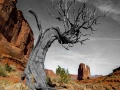 stage photo paysages utah etats unis 19 novembre 2022