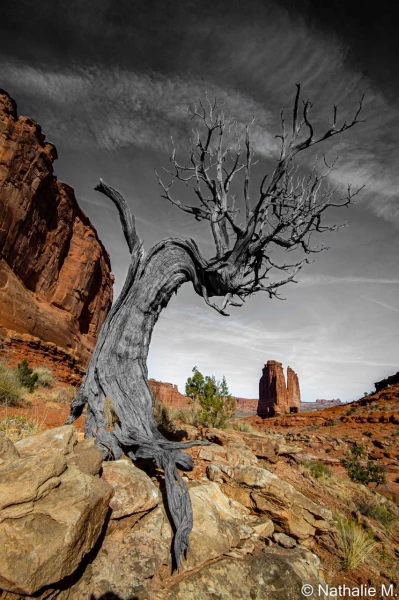 stage photo paysages utah etats unis 19 novembre 2022