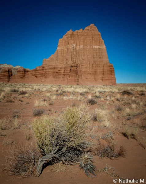 stage photo paysages utah etats unis 19 novembre 2022