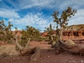 stage photo paysages utah etats unis 19 novembre 2022