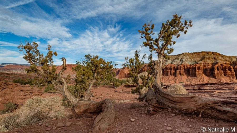 stage photo paysages utah etats unis 19 novembre 2022