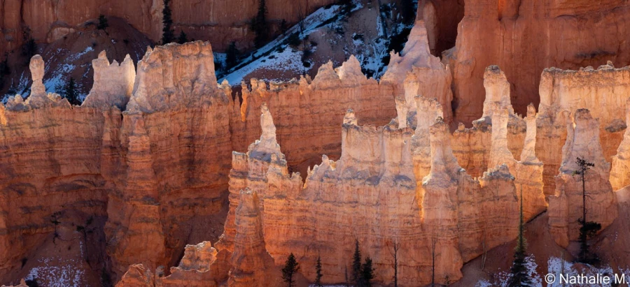 stage photo paysages utah etats unis 19 novembre 2022