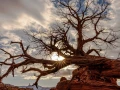 stage photo paysages utah etats unis 19 novembre 2022