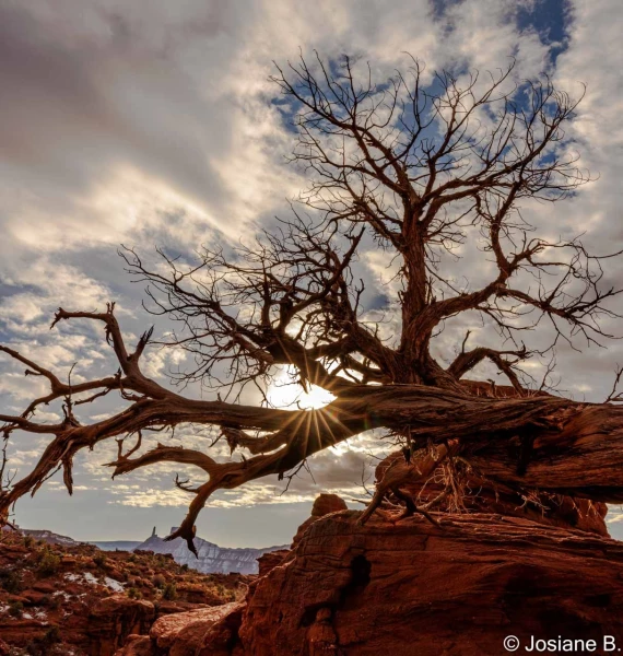 stage photo paysages utah etats unis 19 novembre 2022