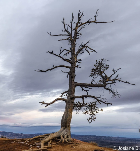stage photo paysages utah etats unis 19 novembre 2022