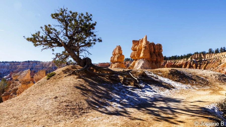stage photo paysages utah etats unis 19 novembre 2022