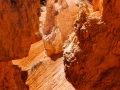 stage photo paysages utah etats unis 19 novembre 2022