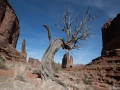 stage photo paysages utah etats unis 19 novembre 2022