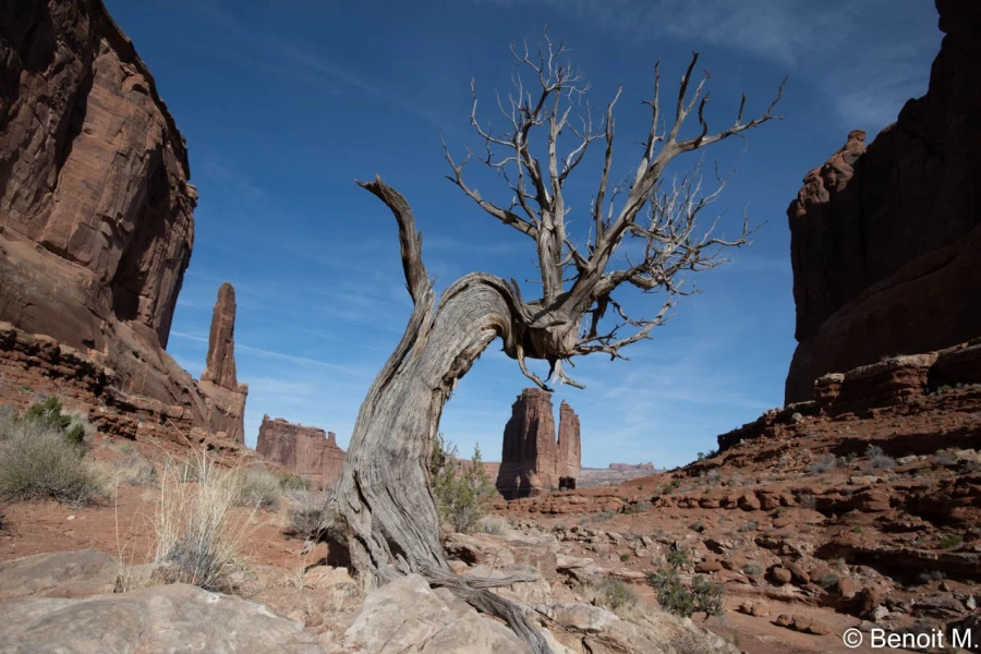 stage photo paysages utah etats unis 19 novembre 2022