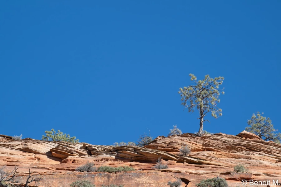 stage photo paysages utah etats unis 19 novembre 2022
