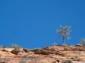 stage photo paysages utah etats unis 19 novembre 2022