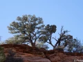 stage photo paysages utah etats unis 19 novembre 2022
