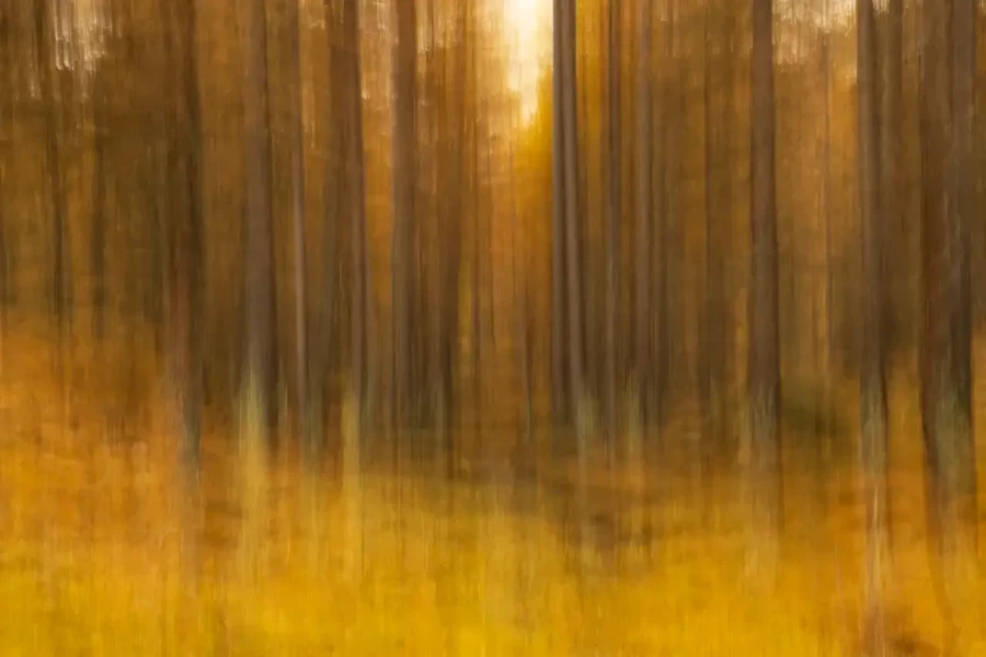 32 photo nature couleur abstraite