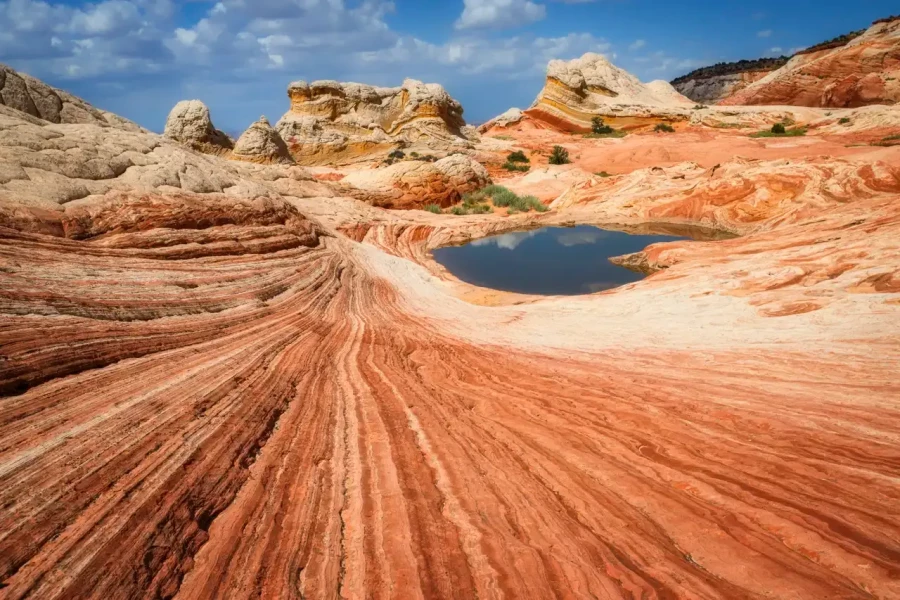 06 paysage nature en couleur