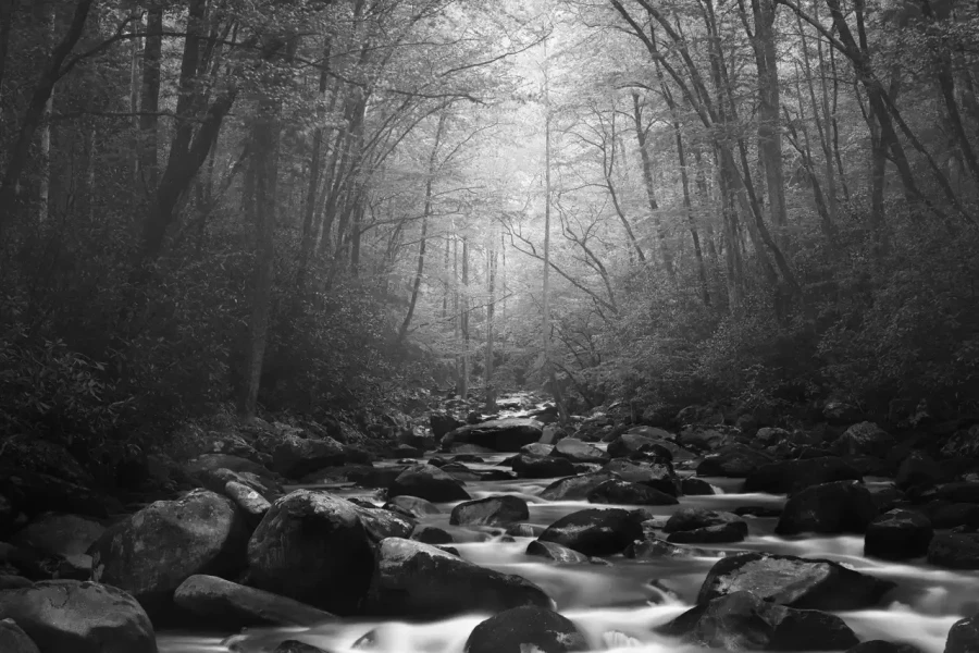 22 photo de paysage en noir et blanc