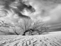 24 photo de paysage en noir et blanc