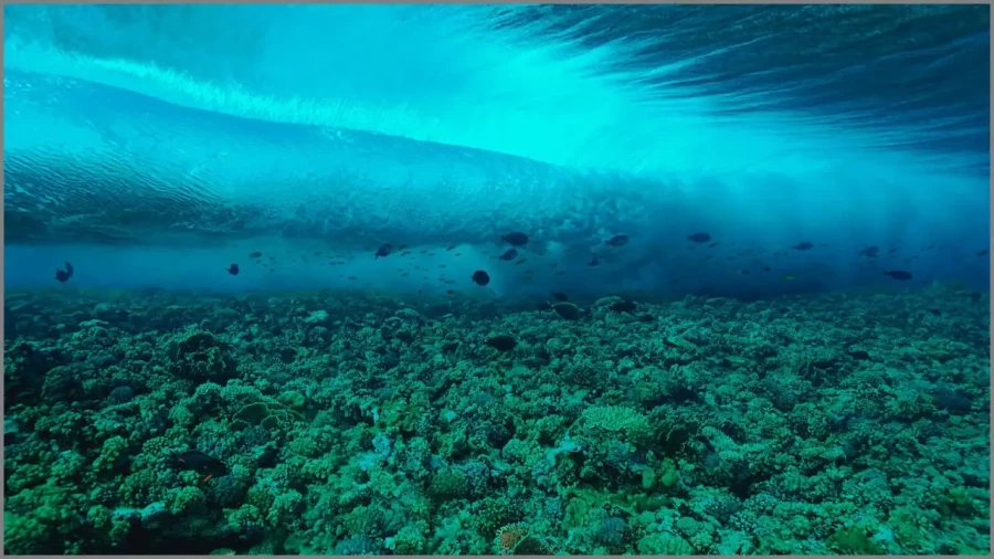 02 photo sous marine