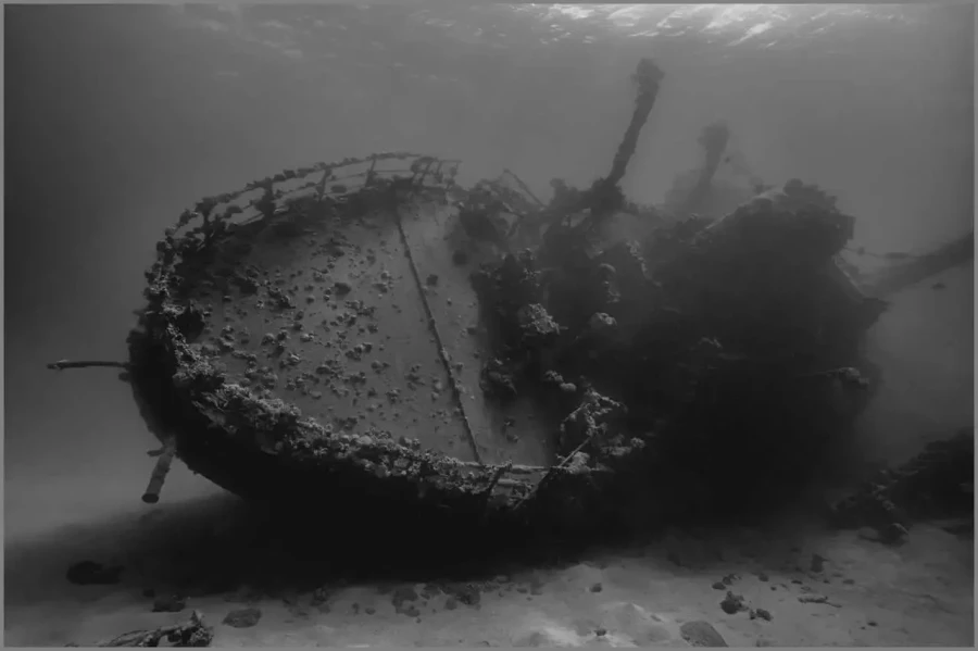 30 photo sous marine