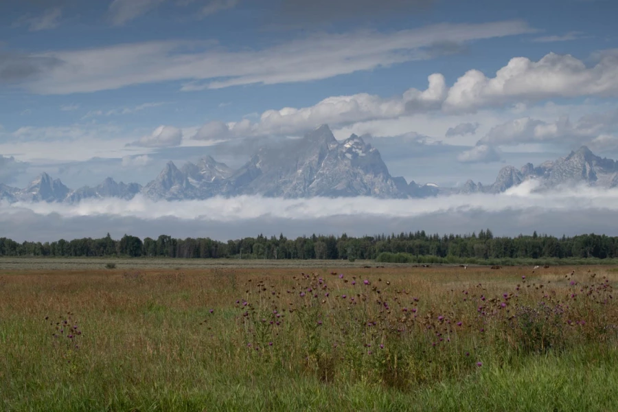 grand teton