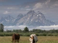 grand teton