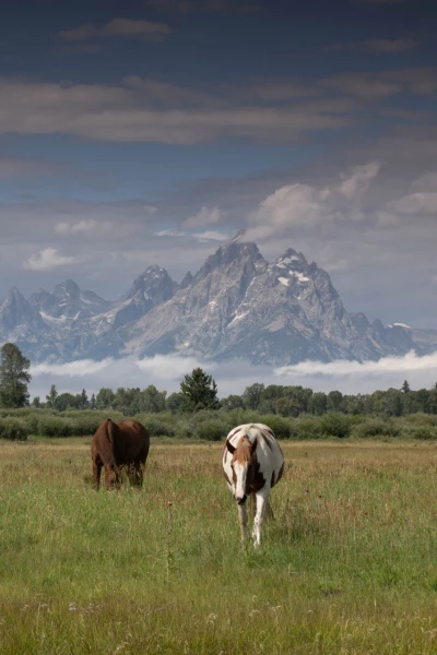 grand teton