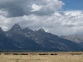 grand teton