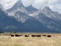 grand teton
