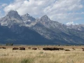 grand teton
