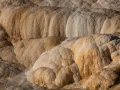 yellowstone