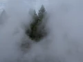 yellowstone