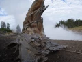 yellowstone