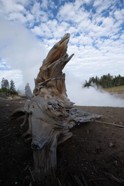 yellowstone