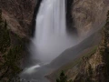 yellowstone