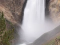 yellowstone