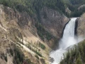yellowstone