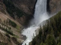 yellowstone