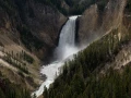 yellowstone