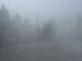 yellowstone